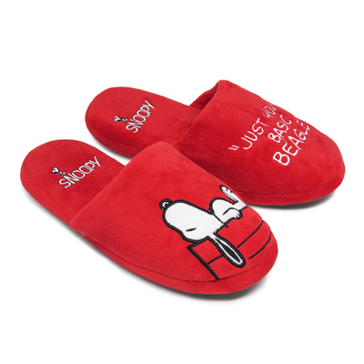 chinelo-snoopy-frontal